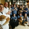 Clinique Vétérinaire de l'Outaouais